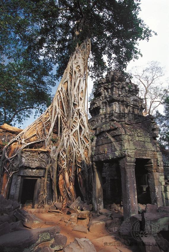 Ta Prohm Temple