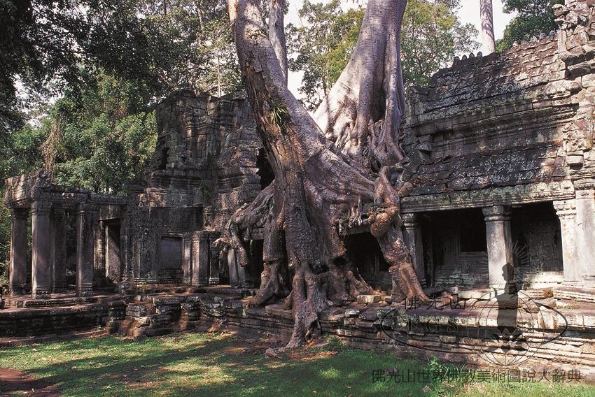 Ta Prohm Temple