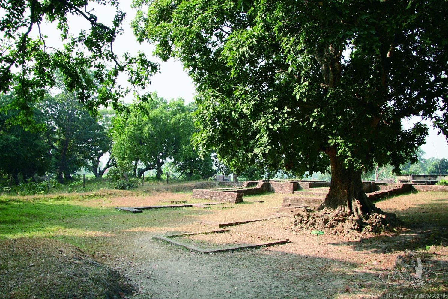 Kapilavastu