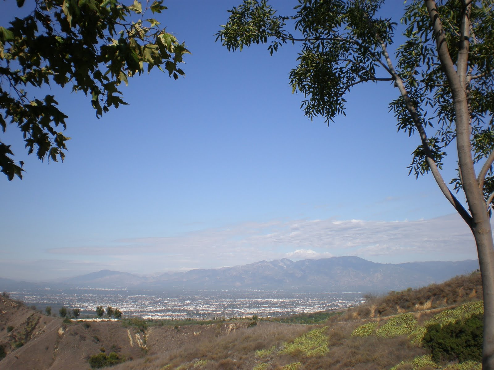 Fo Guang Shan Buddhist Memorial Complex