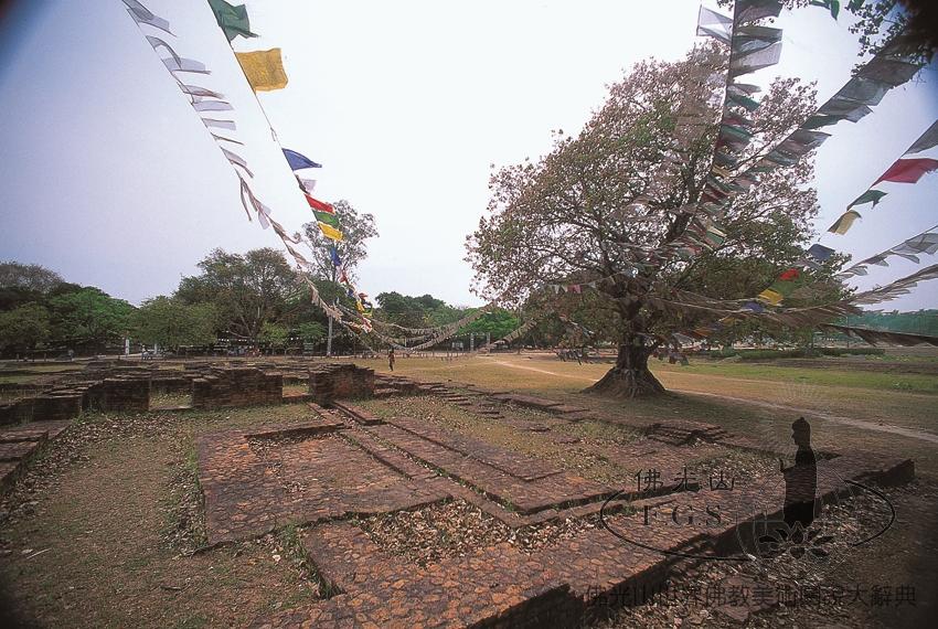 藍毗尼園